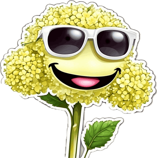 Elderflower lollipop - natural ingredients